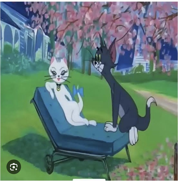 Eniştenizle datedeyiz nasıl beğendiniz mi?