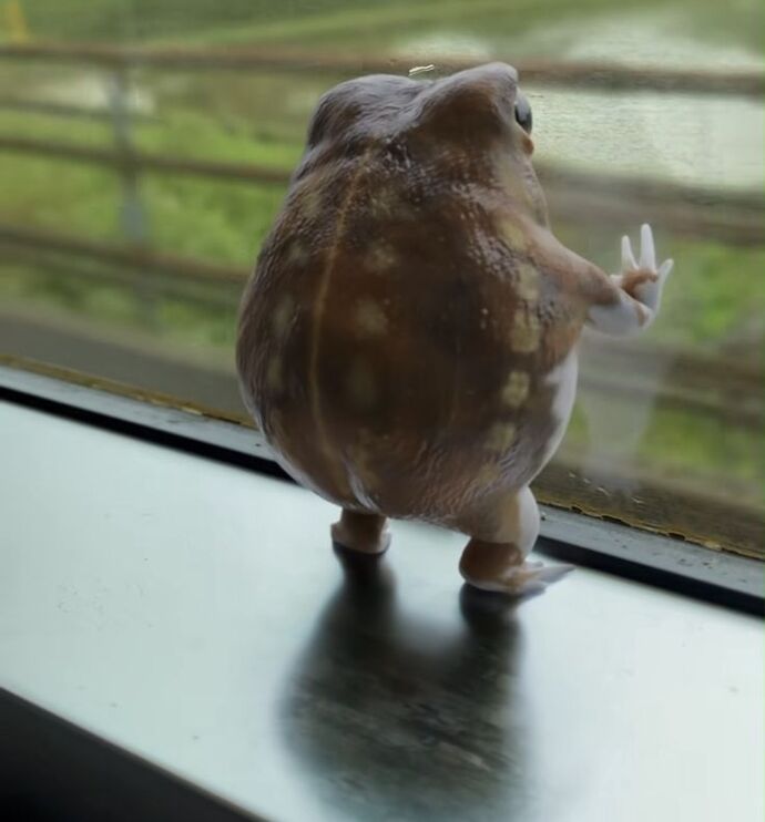 ..