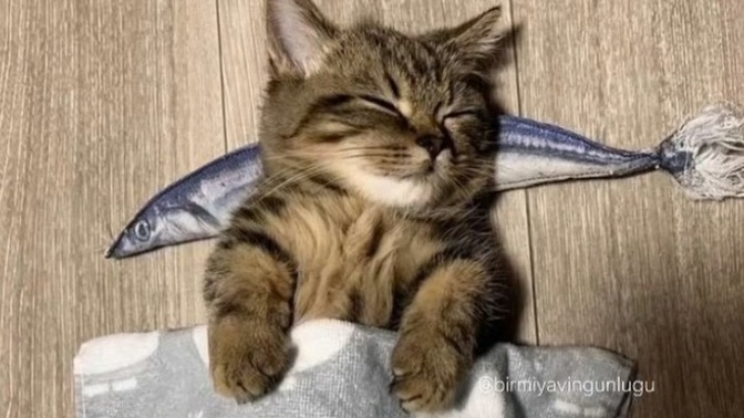 Uykunu kaçıran olur olmadık gelen düşünce bırakır mısın?