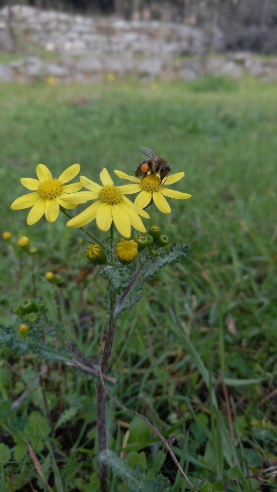 Bugün sizi ne/neler mutlu etti?
