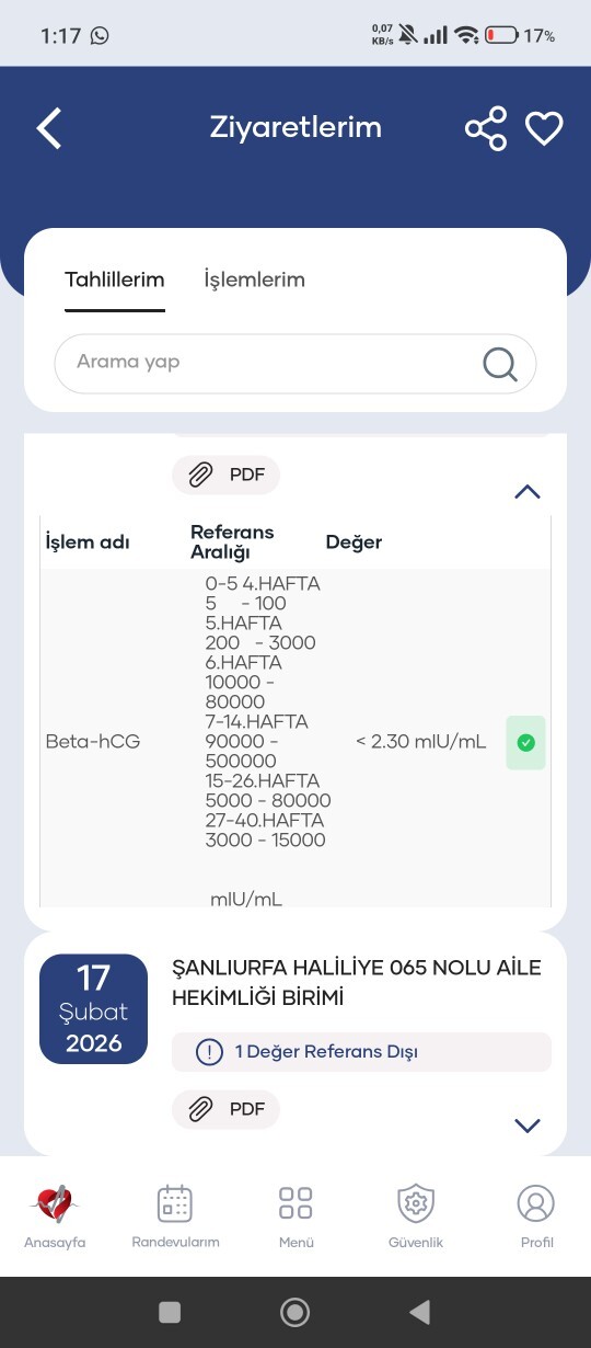 HAMİLE MİYİMMM?