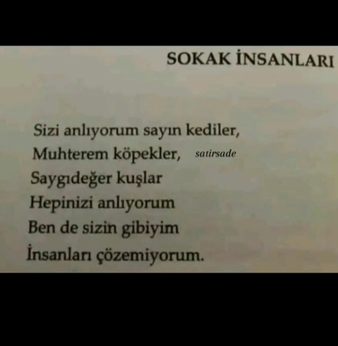 Günaydın sevilenler sevilmeyenler sevgi bir zorunluluk mu?