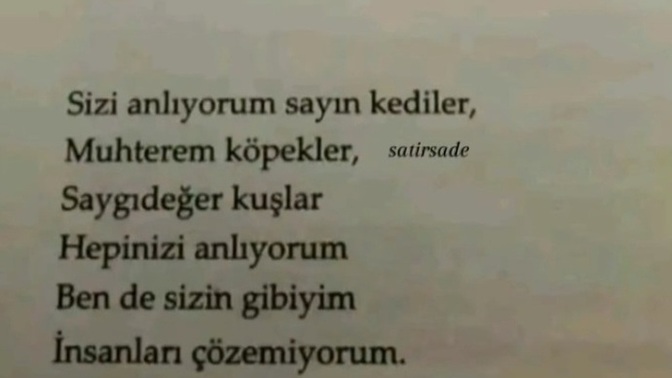 Günaydın sevilenler sevilmeyenler sevgi bir zorunluluk mu?
