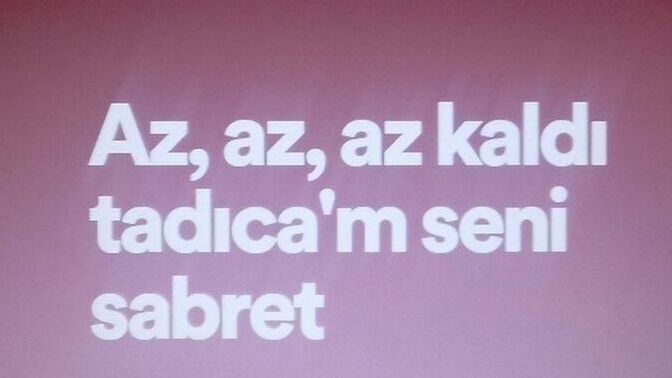 Demek istediğin biri var mı?