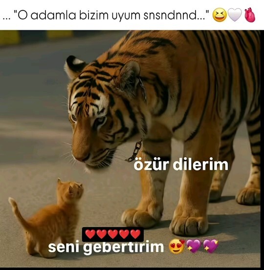 Kaplan gibi görünen ama sevdiğine karşı aşırı uysal olan erkek sizce ideal mi?