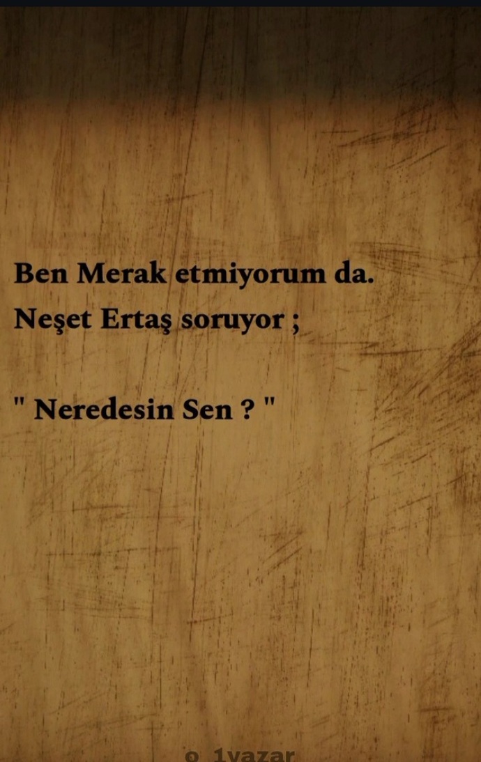 Arayışlarınız iyi mi sonuçlandı kötü mü ?