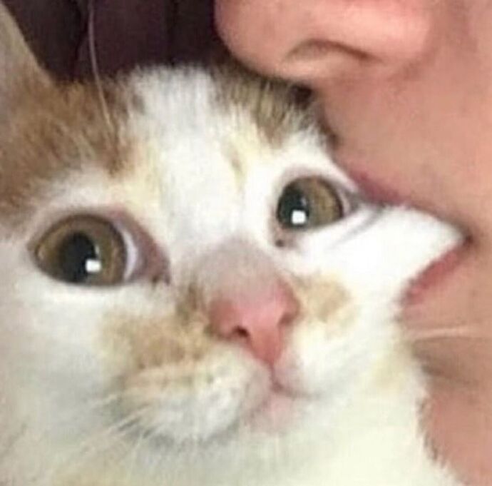 Kedi ısırmak orucu bozar mı?