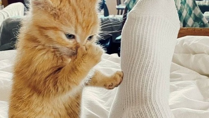 Sizce Neresi güzel olan kadın , güzel kadındır?