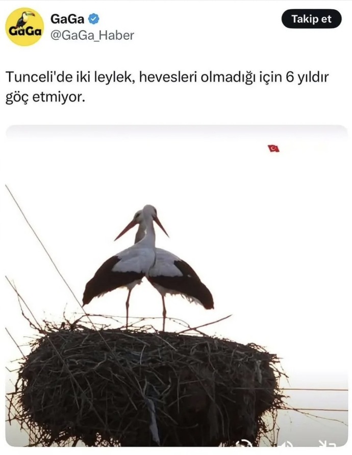 Hayata dair hevesiniz ne durumda?
