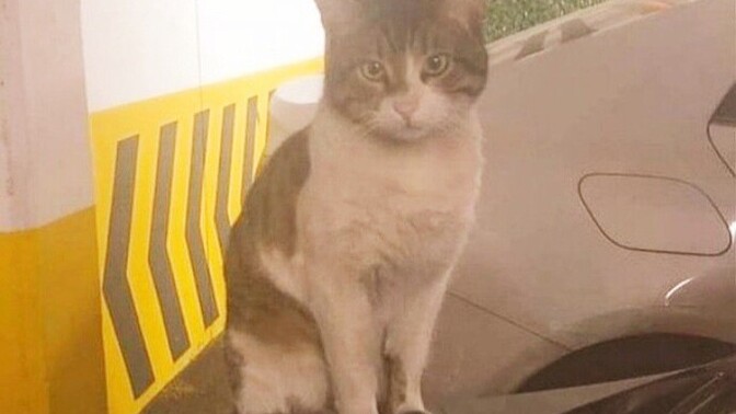 Günler geçmiyor zaman akmıyor noluyor?