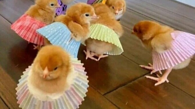 İnsanları dış görünüşe göre yargılar mısınız?