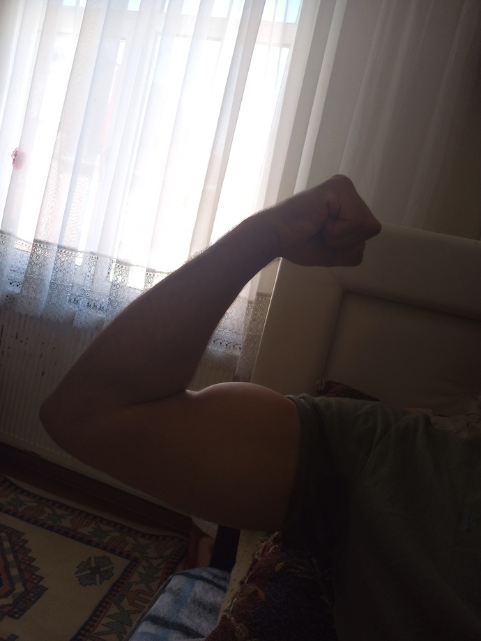 Hayvan gibi kol istiyorum