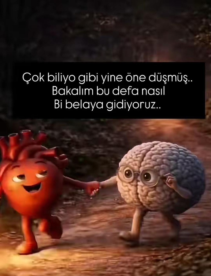 İlişkilerde direksiyonda kalp mi olmalı mantık mı, siz hangisini seçtiniz?