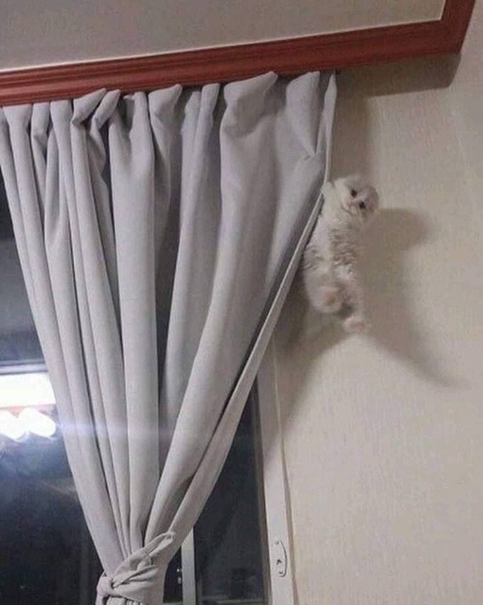 Sitede soru güncellememe sinir oluyor musunuz?