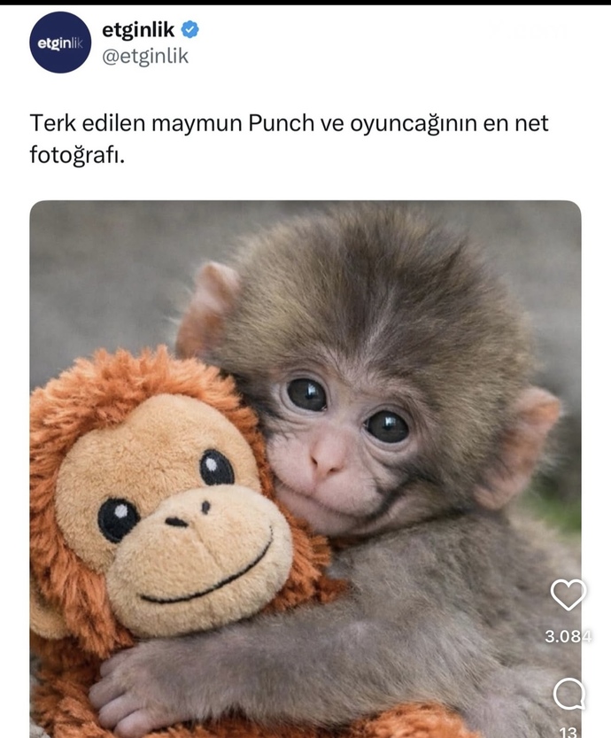 Ya bu terk edilen punch’i nasıl sahiplenebiliriz 😍?