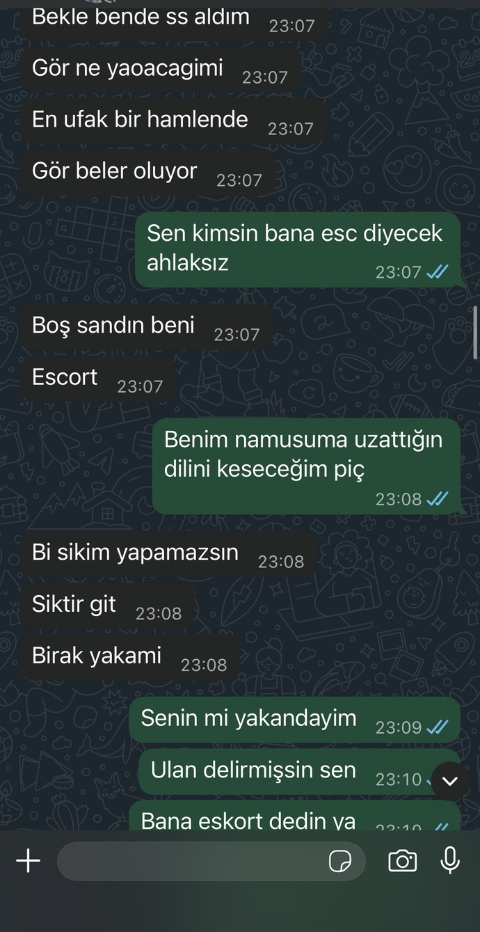 Eski sevgilim neden böyle delirmiş ben ne yaptım aq?