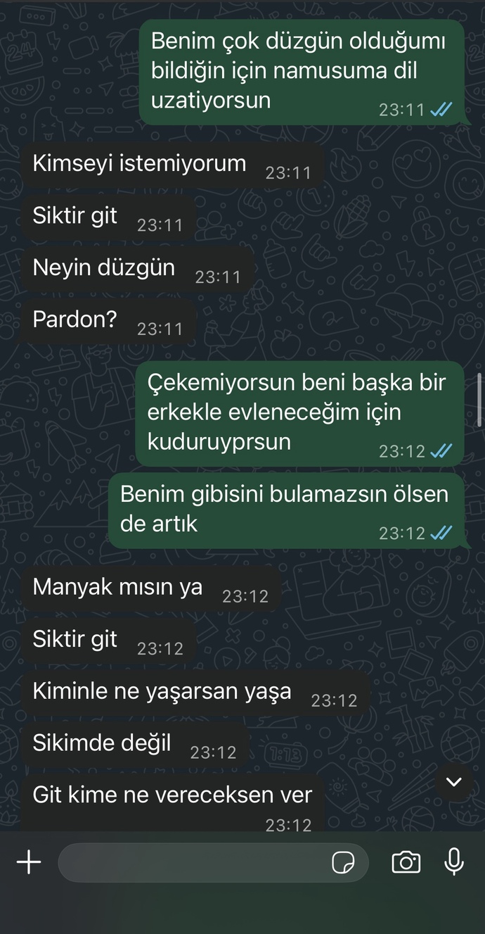 Eski sevgilim neden böyle delirmiş ben ne yaptım aq?