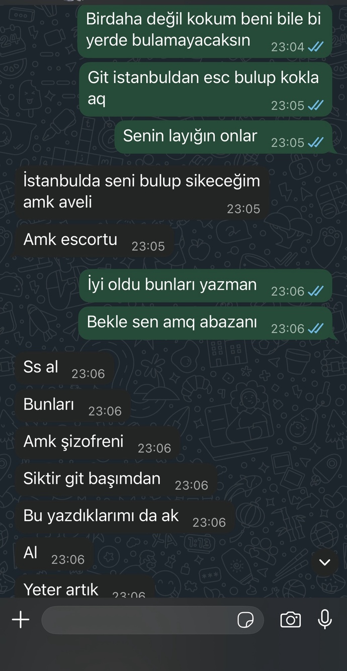 Eski sevgilim neden böyle delirmiş ben ne yaptım aq?
