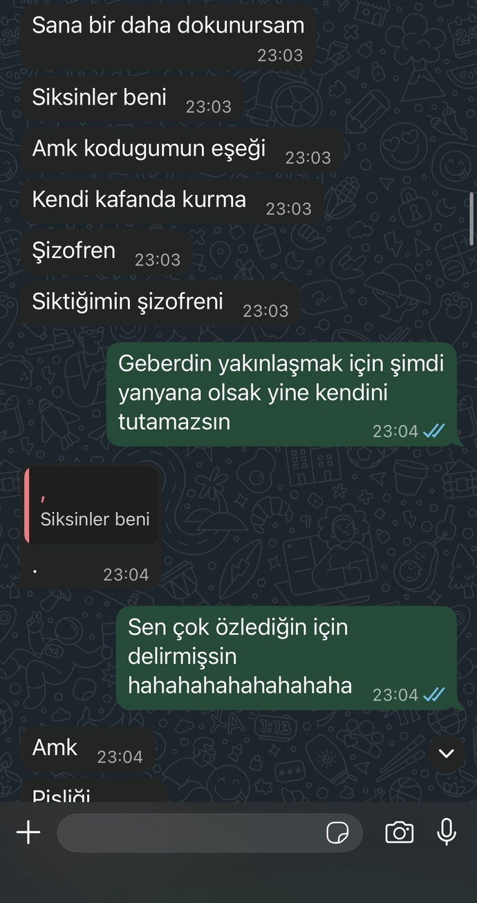 Eski sevgilim neden böyle delirmiş ben ne yaptım aq?