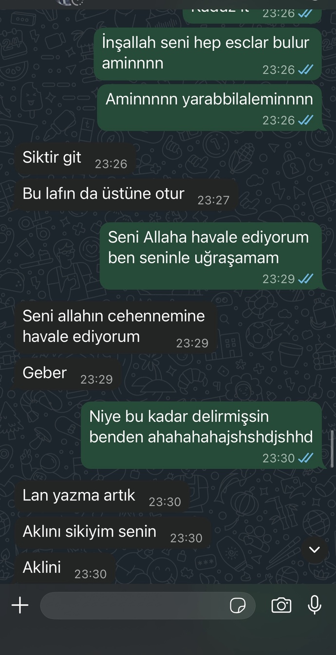 Eski sevgilim neden böyle delirmiş ben ne yaptım aq?