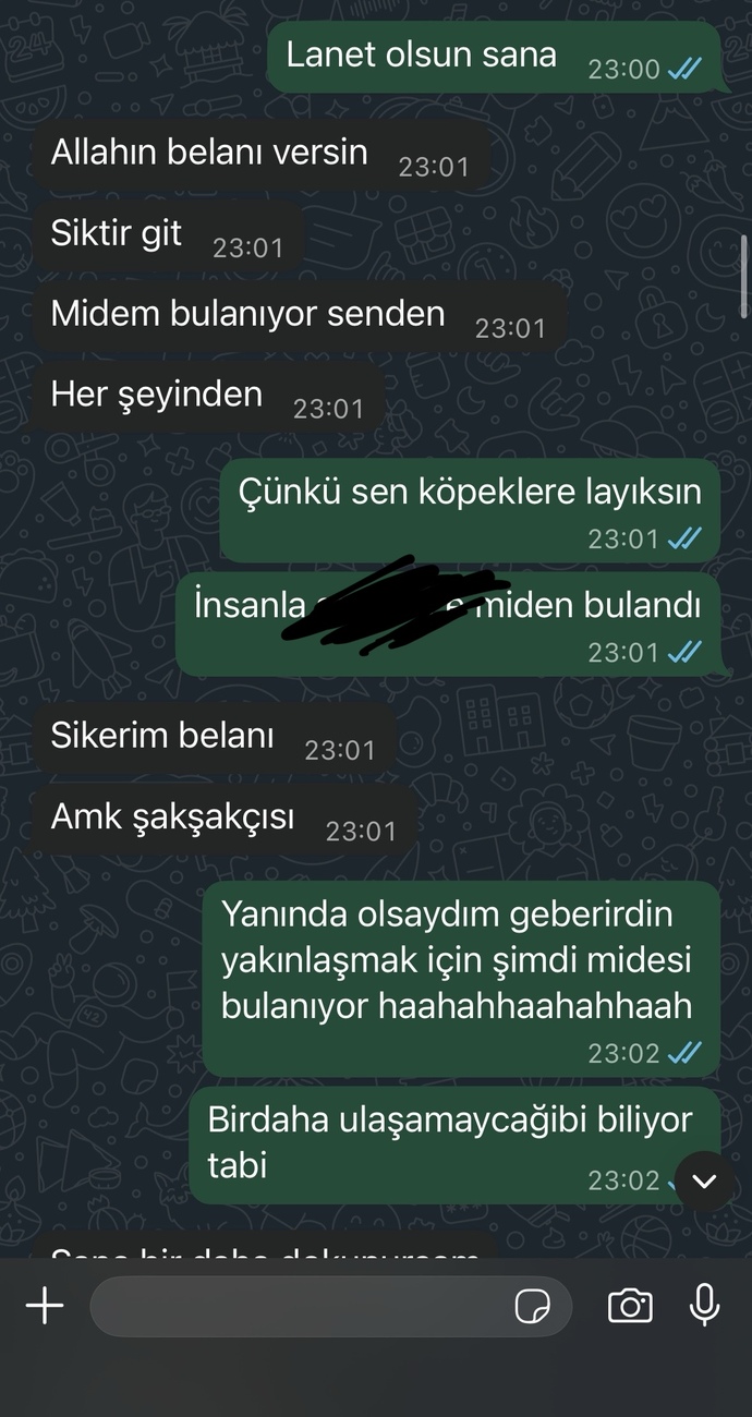 Eski sevgilim neden böyle delirmiş ben ne yaptım aq?