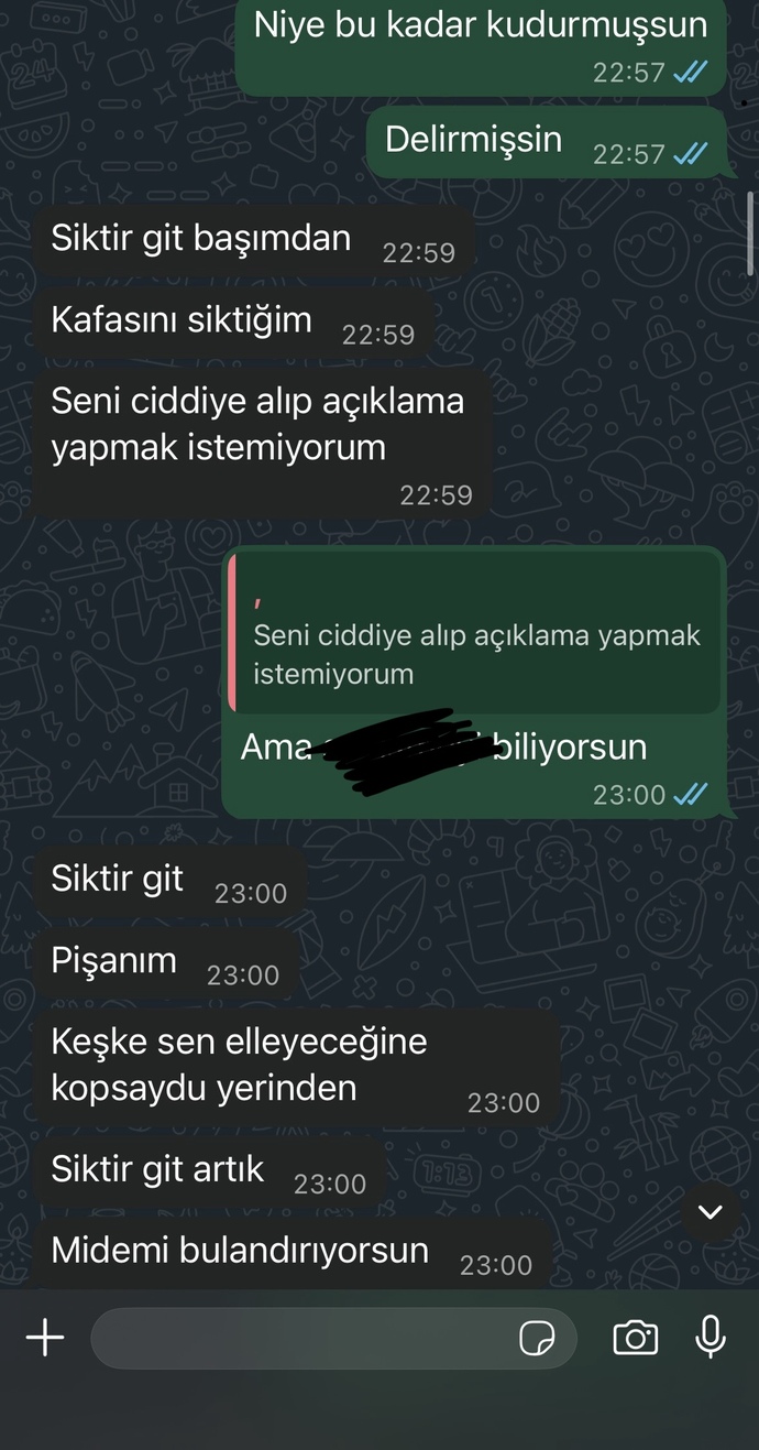 Eski sevgilim neden böyle delirmiş ben ne yaptım aq?