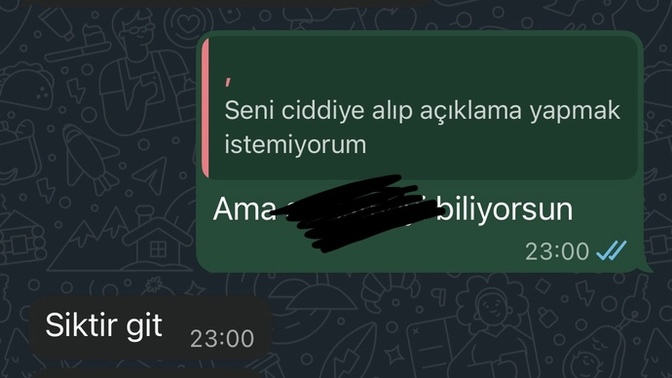 Eski sevgilim neden böyle delirmiş ben ne yaptım aq?
