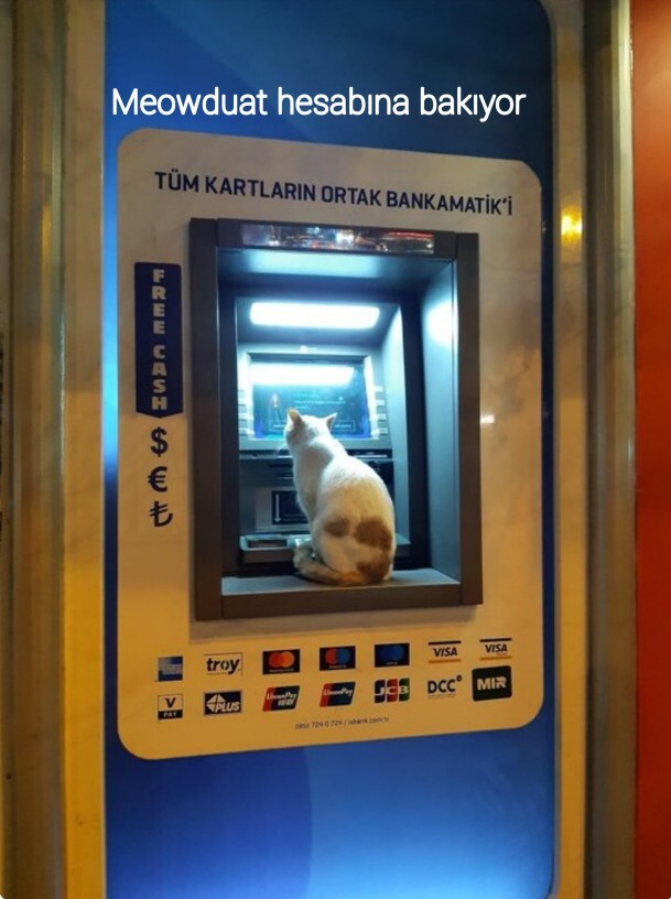 Türkçenin esnekliğini mizaha dönüştürelim mi 😂?