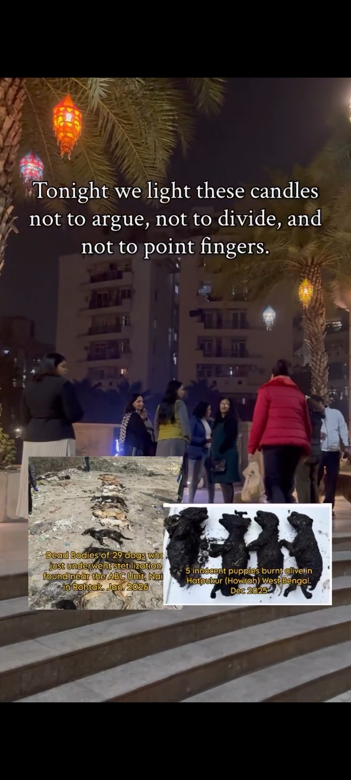 Dünyanın her yerinde barınaklar aynı insanlar aynı, hayatı paylaşarak yaşamayı neden bilmiyorlar niye yok olmuyor bunlar?