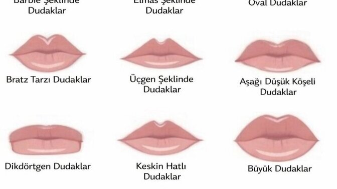 En sevdiğiniz dudak şekli hangisi?
