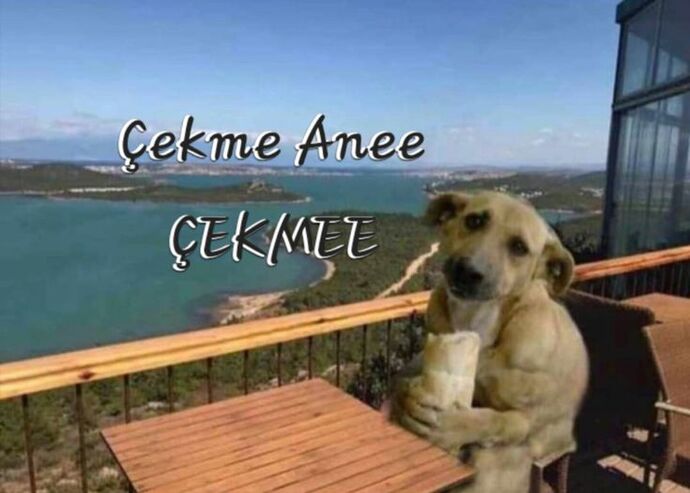 Fotoğraf çekinmesini sever misiniz?