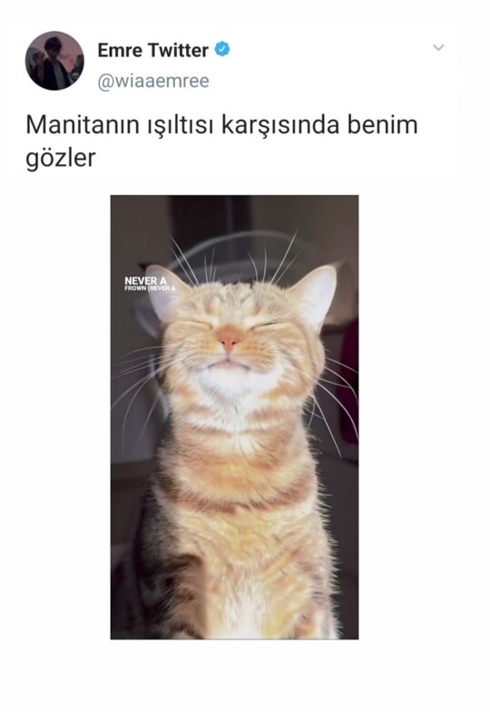 Sizin de böyle parlayan manitanız var mı?