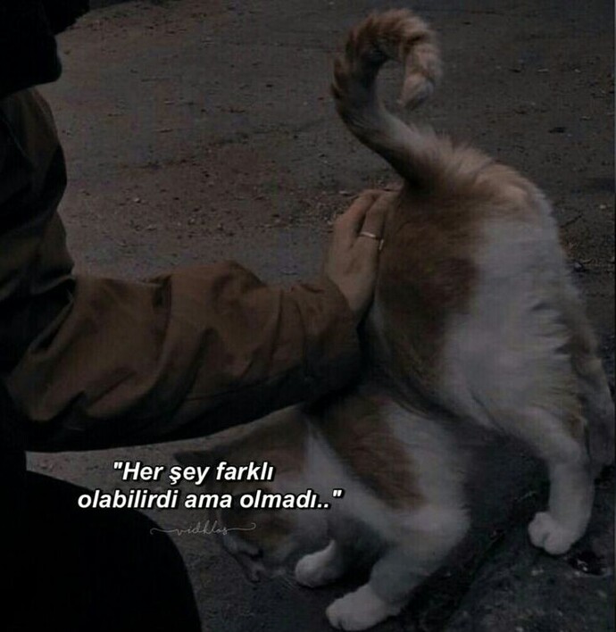 her şey farklı olabilirdi aslında, neden olmadı?