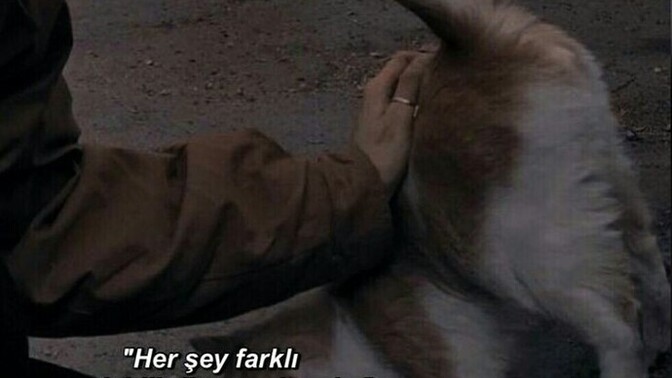 her şey farklı olabilirdi aslında, neden olmadı?