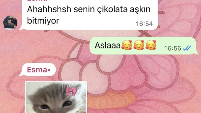 En çok neyi seviyorsun?