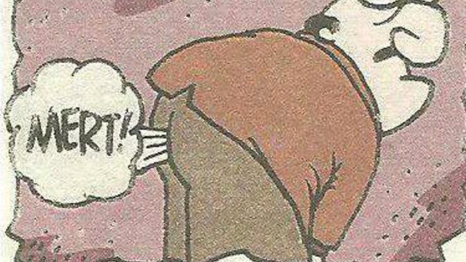 Yakın karşı cins arkadaşınız var mı?