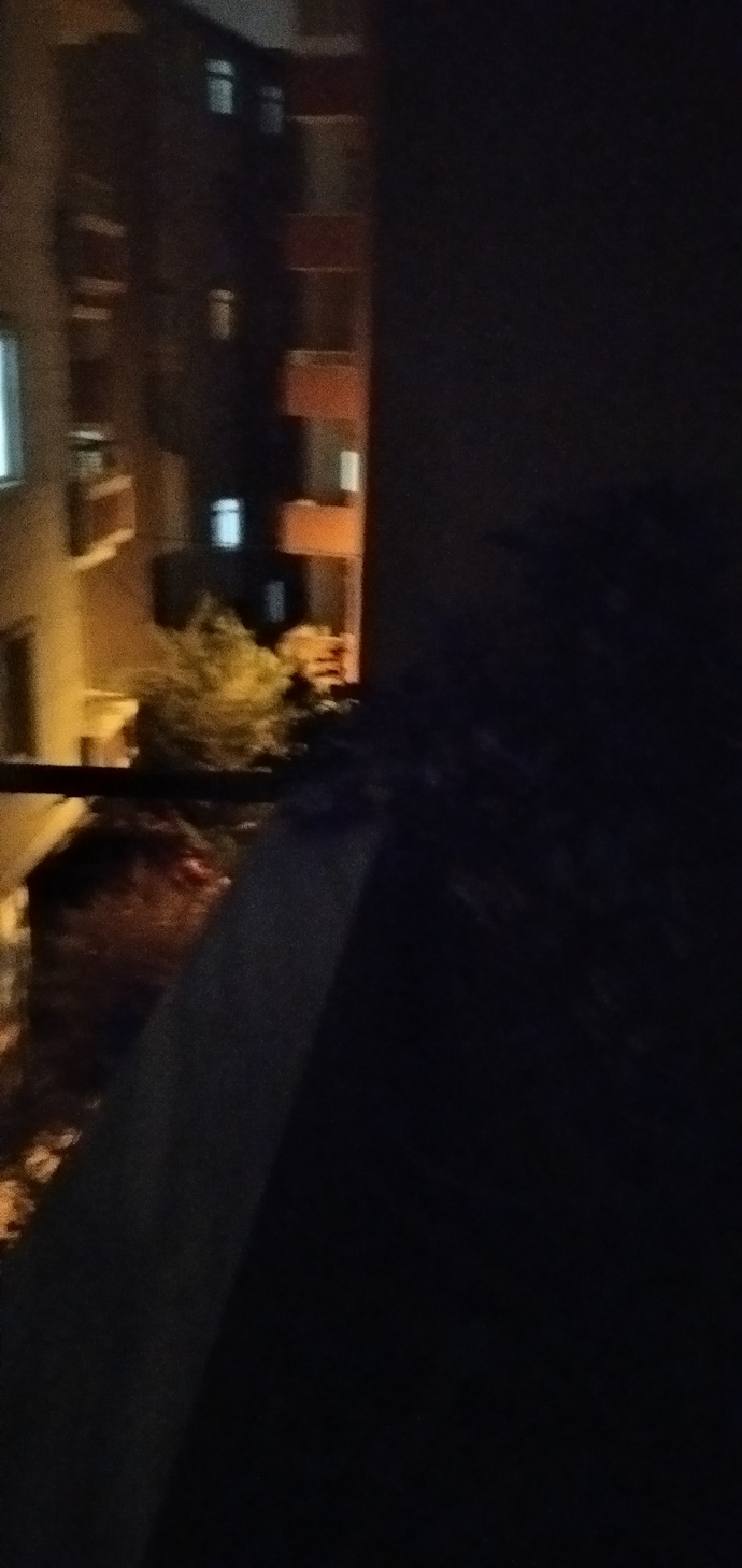 İyi geceler yazmış , hemen gecemi diye kontrol ettim, erkeklere güven olmaz öyle değil mi 🤣?