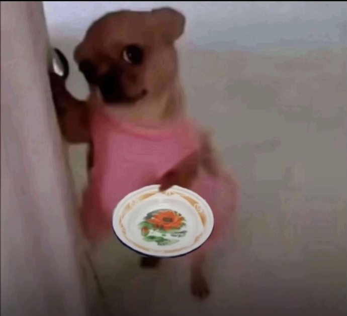 Daha bugun yaptıgım ve 1 dilim bile yiyemeden bitecek olan triliçeyi son dk sahurda yicem ahahaaha sizde de bu durum var mı?