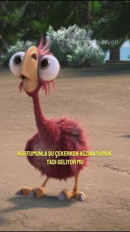 Bana sormak istediğiniz soru varsa sorabilirsiniz?