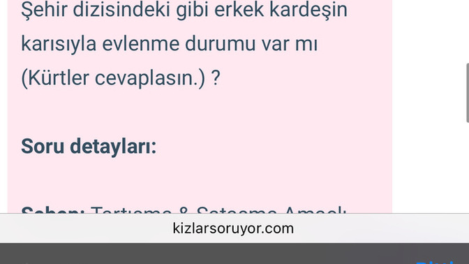 Bu sorunun nesi sataşma sayılır, nerede hakaret veya kötü niyet görünüyor?