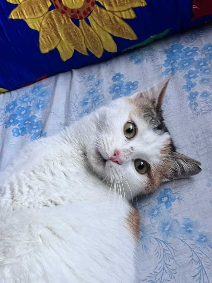Kimin gözleri bu kadar güzel?