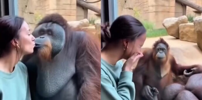 Bir kere ihanete uğradıktan sonra, tekrar aşık olmak mümkün mü?