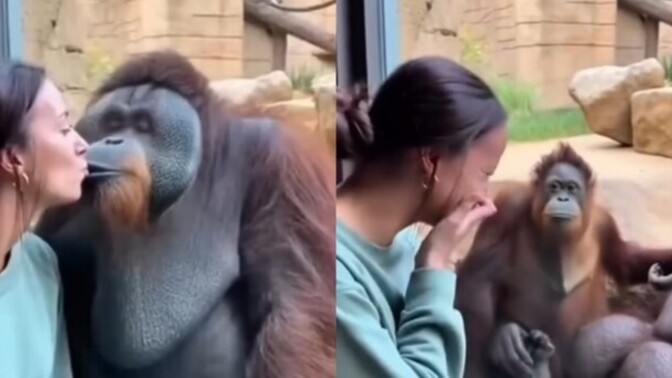 Bir kere ihanete uğradıktan sonra, tekrar aşık olmak mümkün mü?