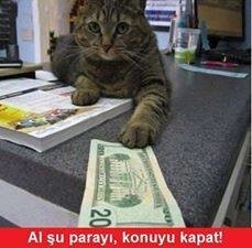 Resim yapma yeteneğinize 10 üzerinden kaç verirsiniz? En son ne resmettiniz?