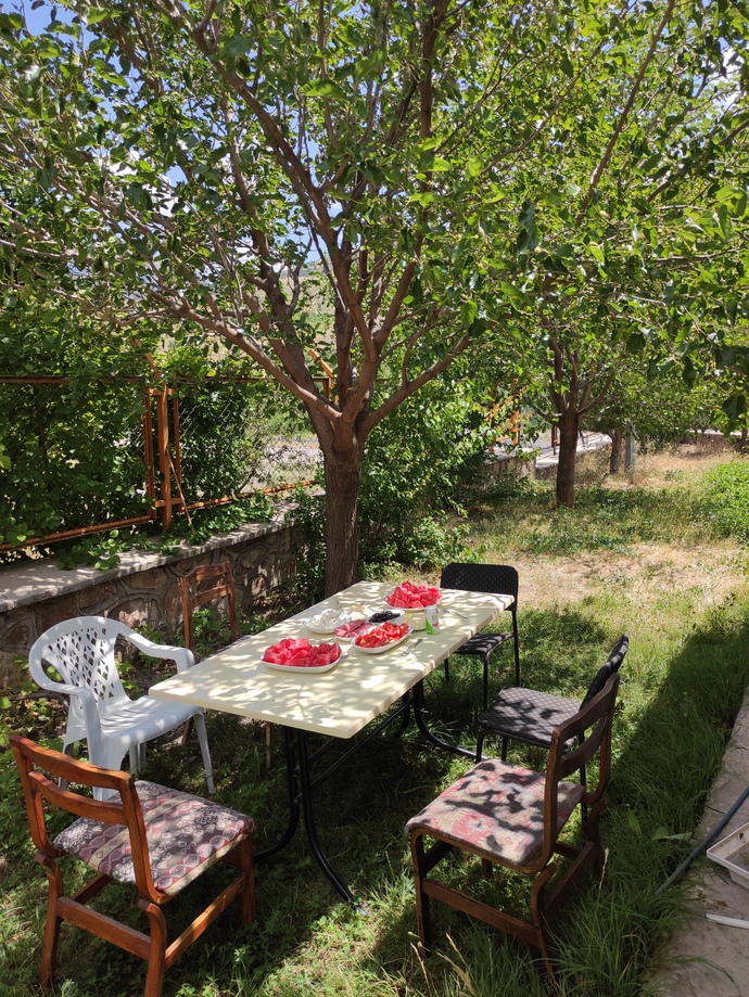 Bahçenizde çiçekler açınca içinizi huzur kaplıyor mu 🥰🌸?