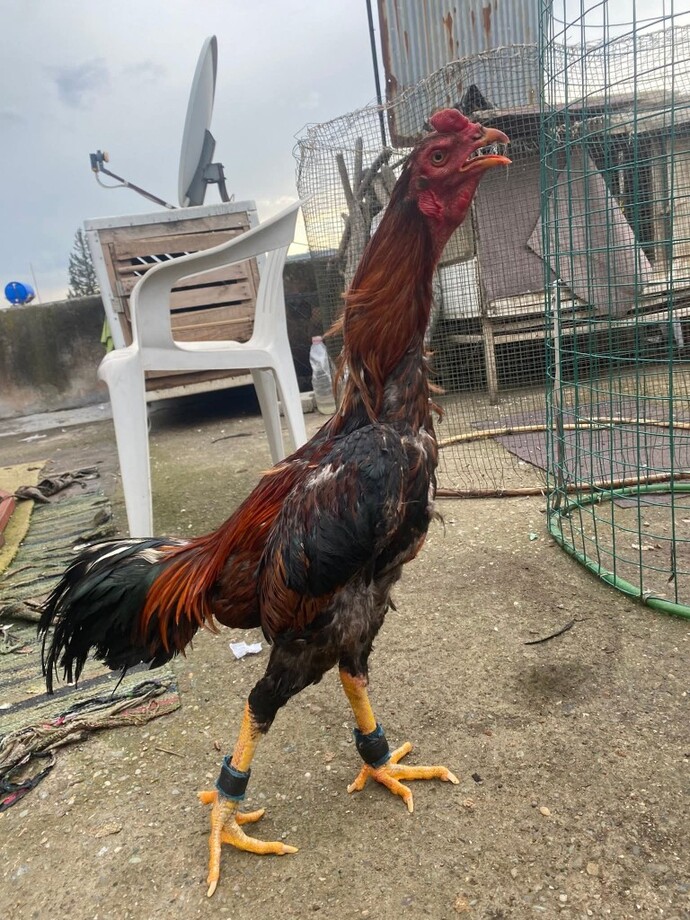 Anlık Ne Yapıyor Sunuz 😃😃?