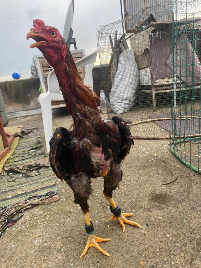Anlık Ne Yapıyor Sunuz 😃😃?
