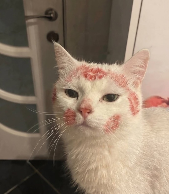 En son neyi kimi öptünüz?