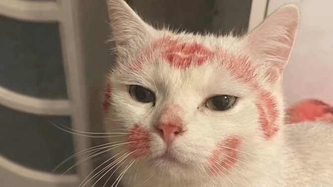 En son neyi kimi öptünüz?
