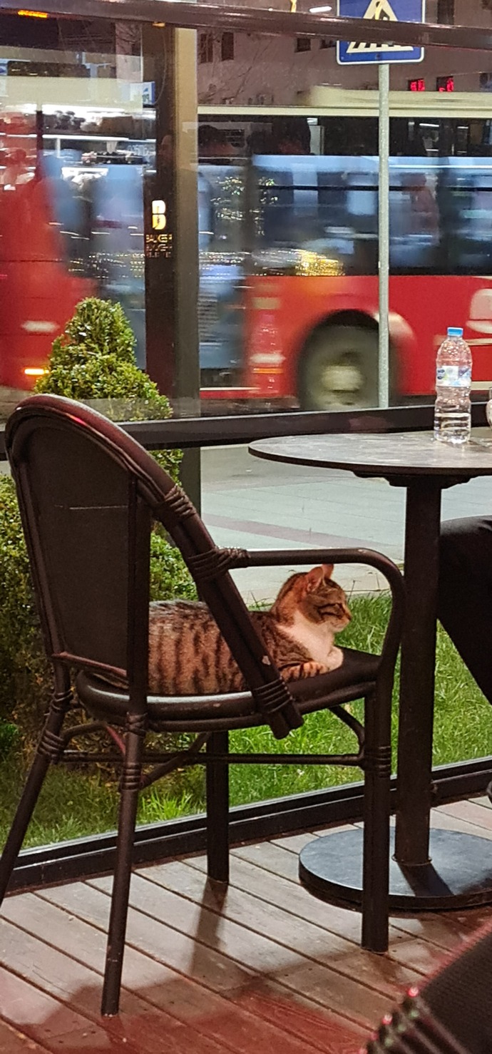 Kahvehane arkadaşı 😃